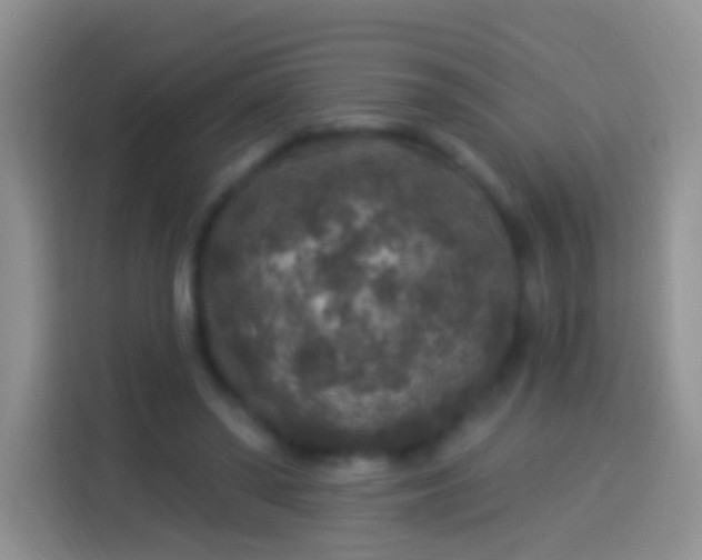 X0000113880398200910011136