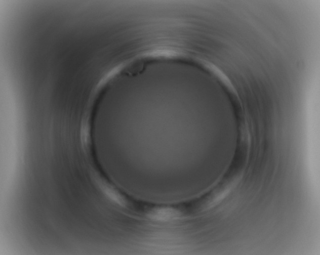 X0000113880399200910011136