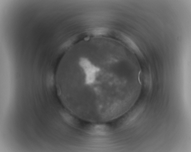 X0000113880401200910011136