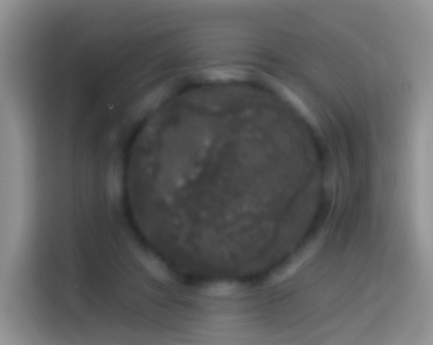 X0000113880402200910011136