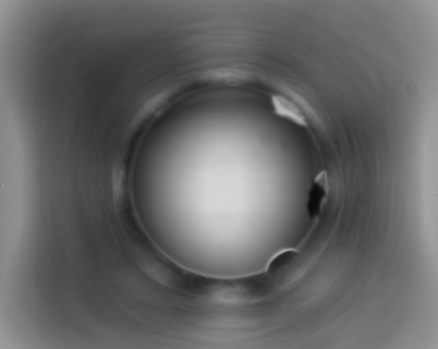 X0000113880403200910011136