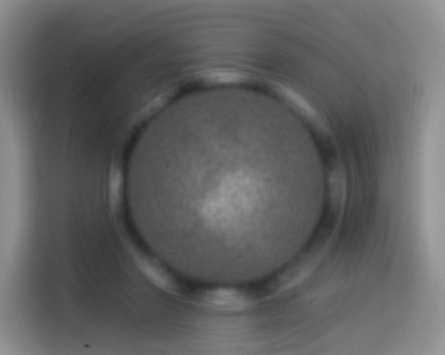 X0000113880406200910011136