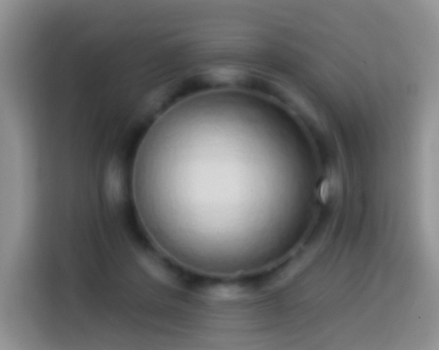 X0000113880408200910011136