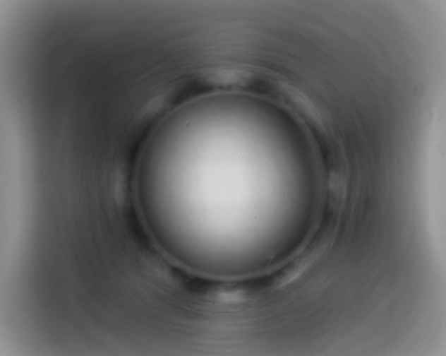 X0000113880416200910011136