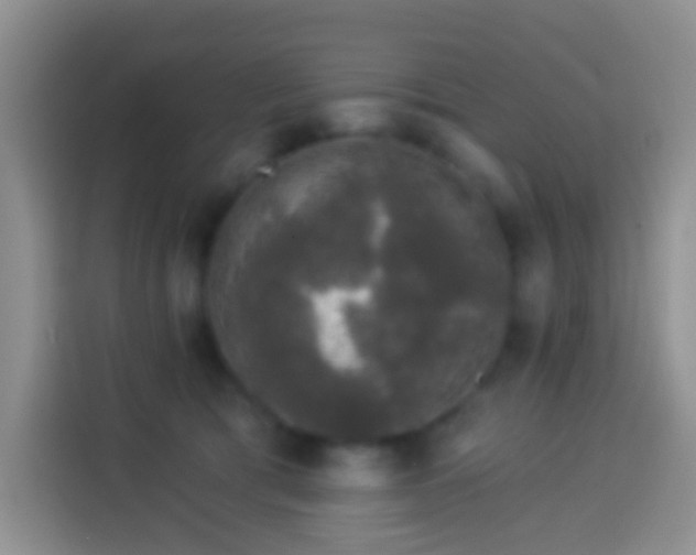 X0000113880417200910011136