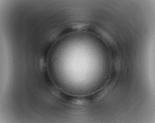 X0000113880420200910011136