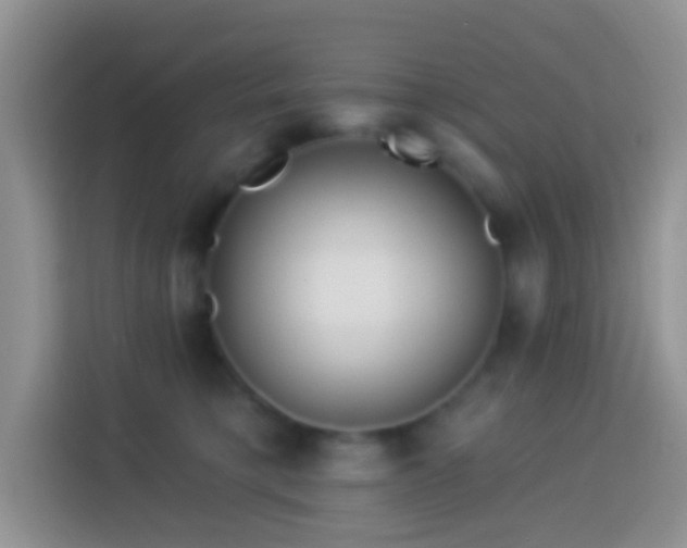 X0000113880421200910011136