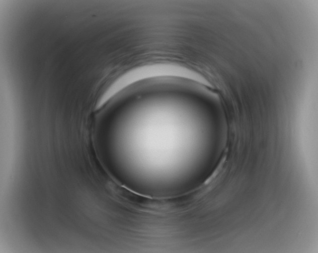 X0000113880423200910011136