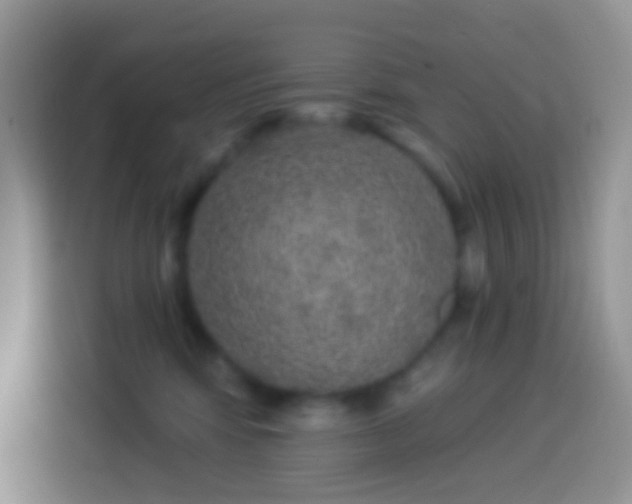 X0000113880424200910011136