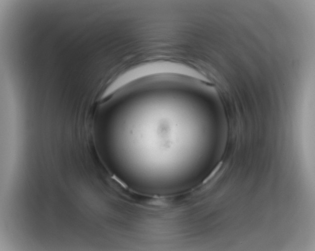 X0000113880425200910011136