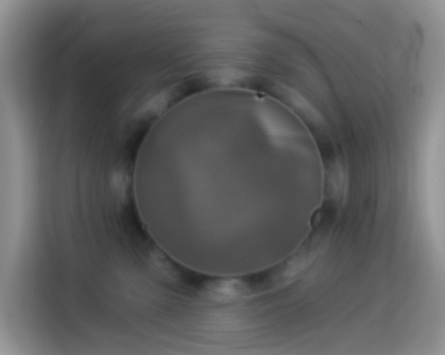 X0000113880427200910011136