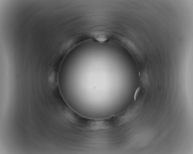 X0000113880428200910011136