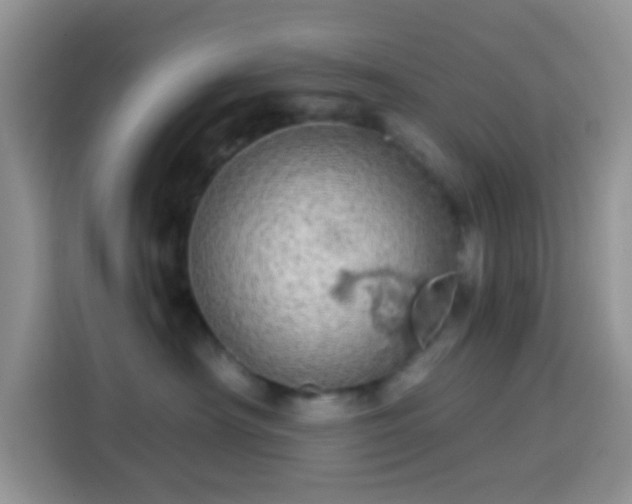 X0000113880430200910011136