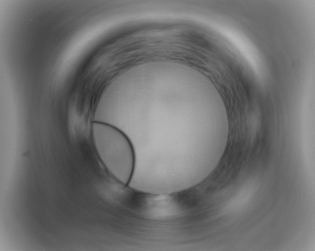 X0000113880431200910011136