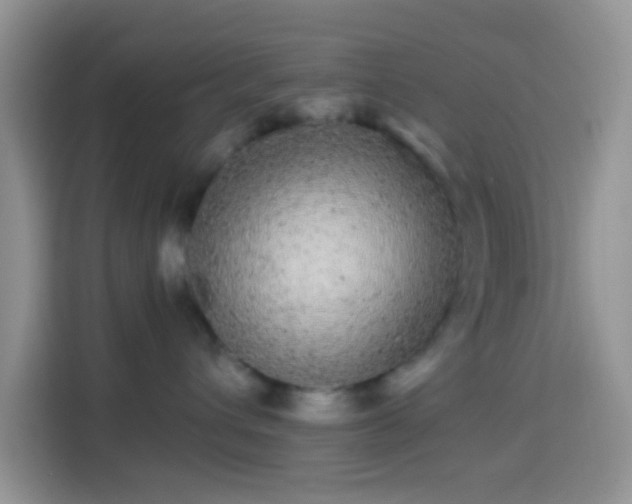 X0000113880432200910011136