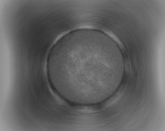 X0000113880434200910011135