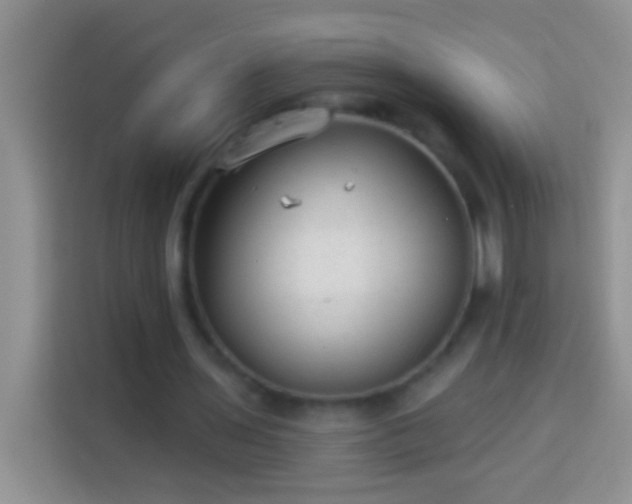 X0000113880435200910011135