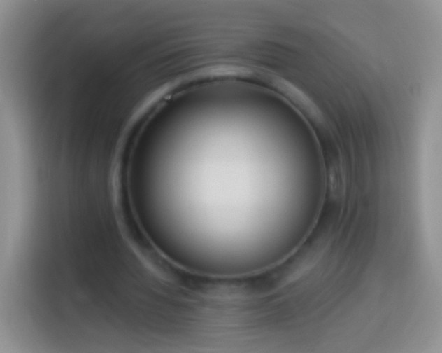 X0000113880436200910011135