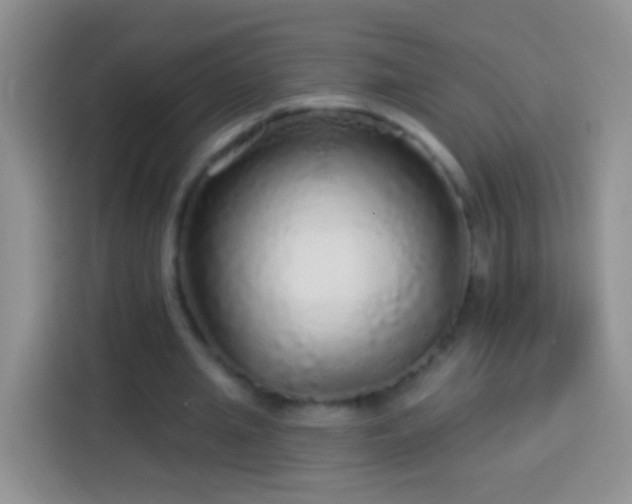 X0000113880437200910011135