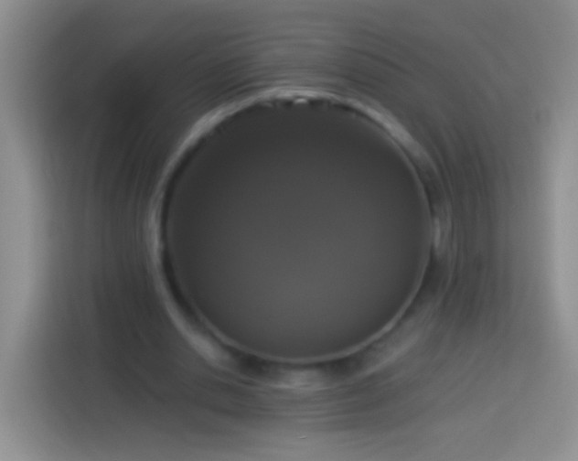 X0000113880438200910011135