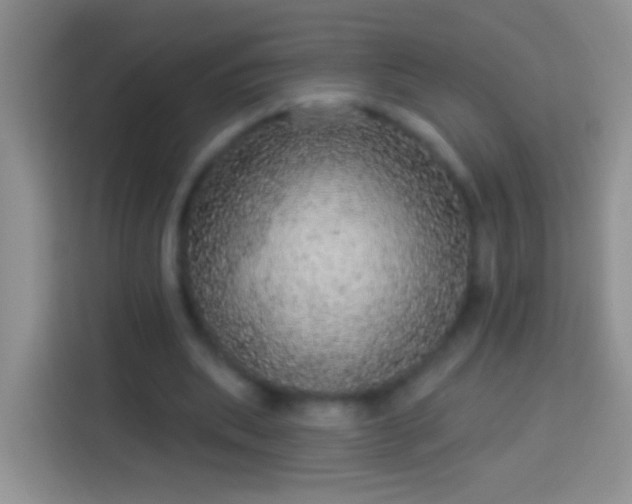 X0000113880439200910011135