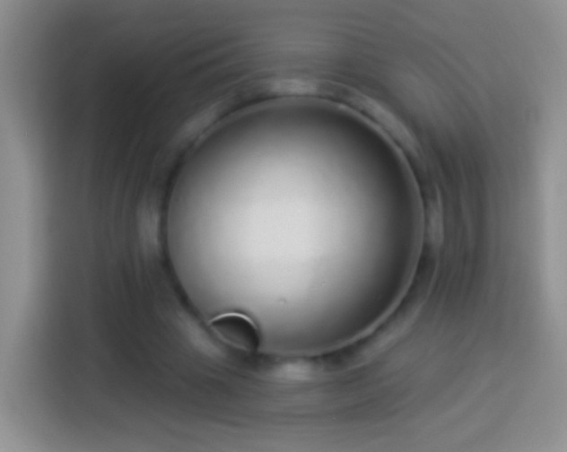 X0000113880441200910011135