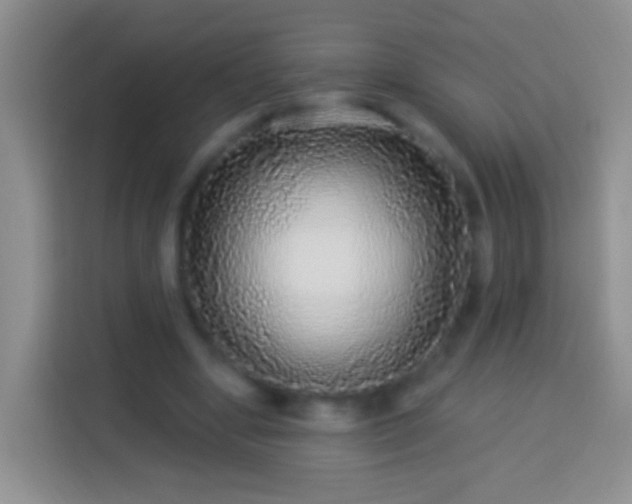 X0000113880442200910011135