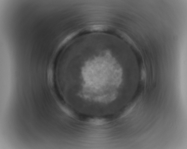 X0000113880444200910011135