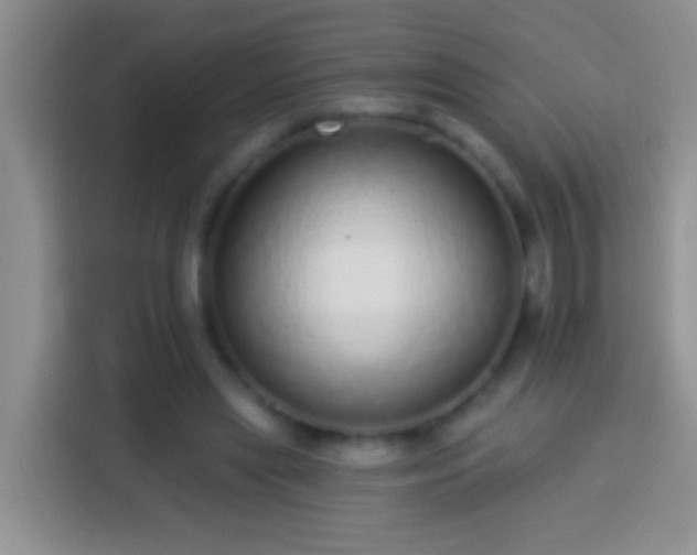 X0000113880445200910011136