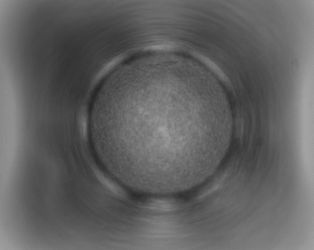 X0000113880446200910011136