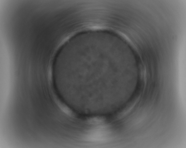 X0000113880447200910011136