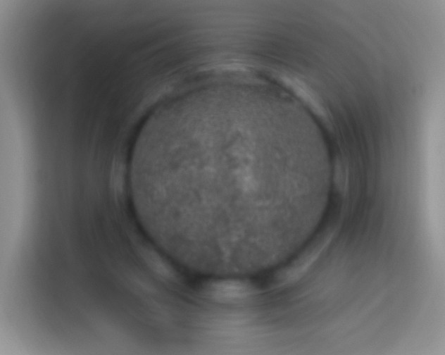 X0000113880449200910011136