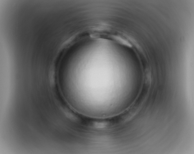 X0000113880450200910011136