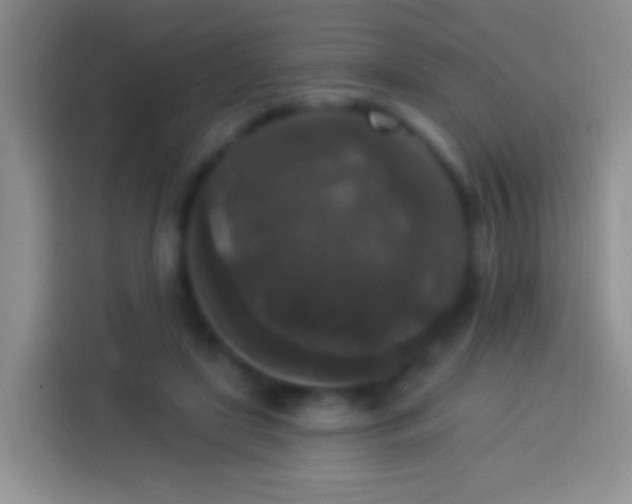 X0000113880451200910011136