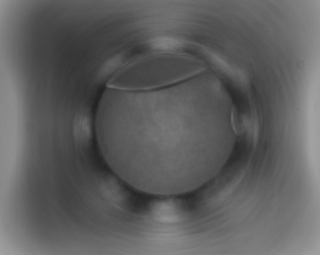 X0000113880452200910011136