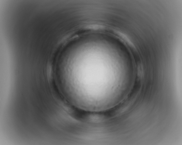 X0000113880453200910011136