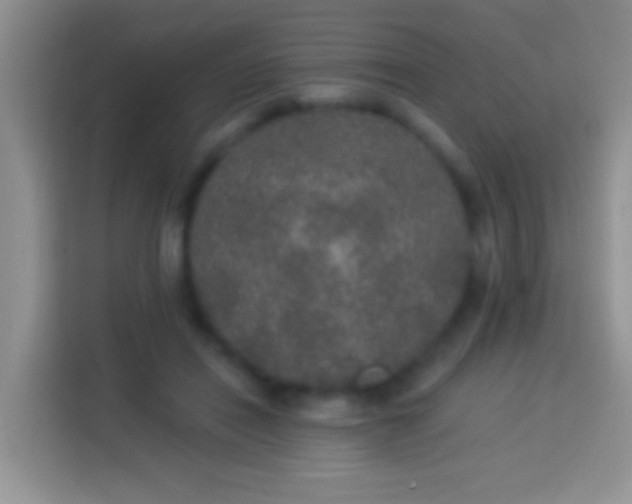 X0000113880454200910011136