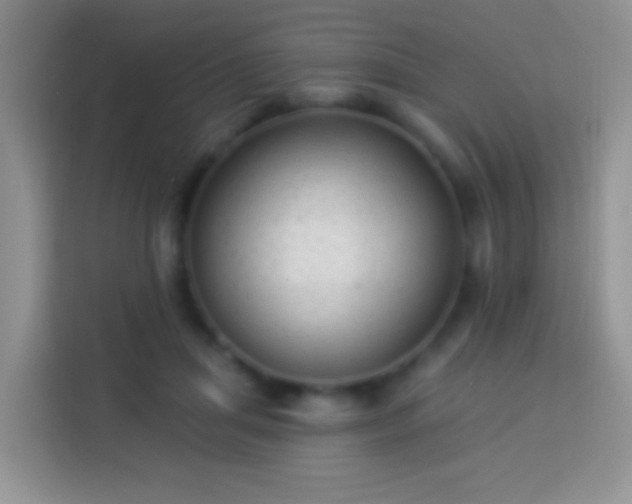 X0000113880455200910011136