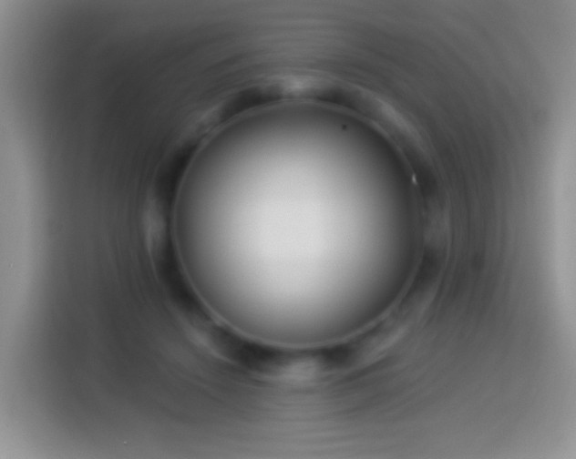 X0000113880456200910011136