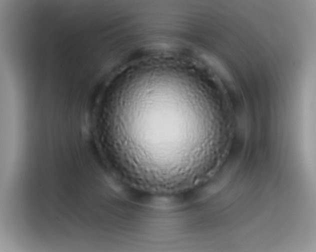 X0000113880457200910011136