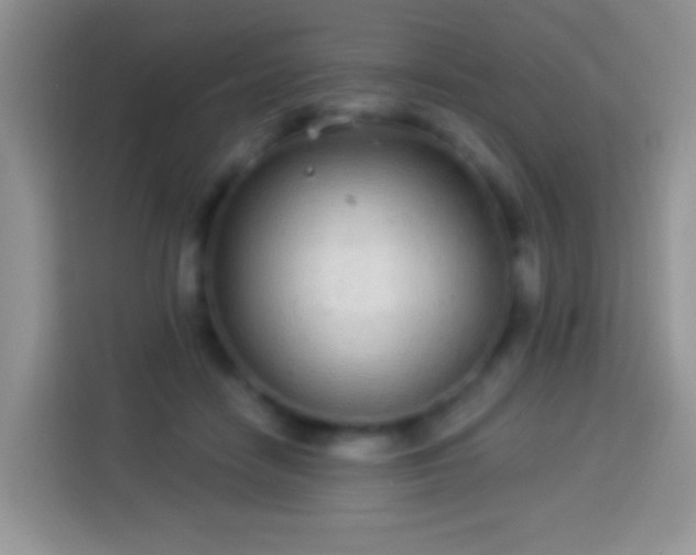 X0000113880458200910011136