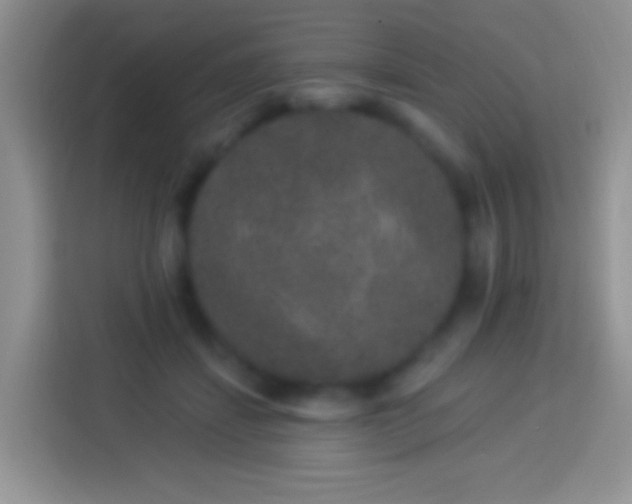 X0000113880459200910011136