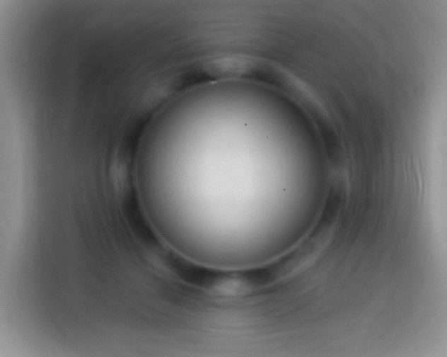 X0000113880460200910011136