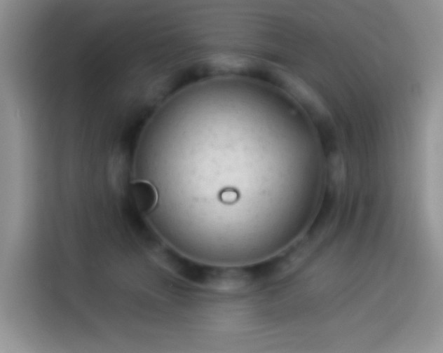 X0000113880463200910011136