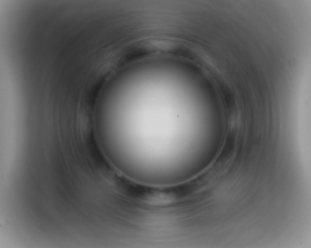 X0000113880464200910011136