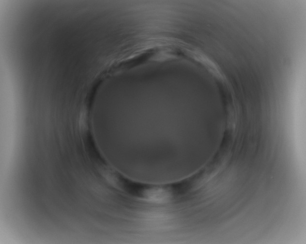 X0000113880465200910011136