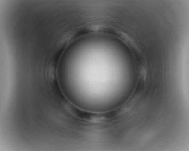 X0000113880470200910011136