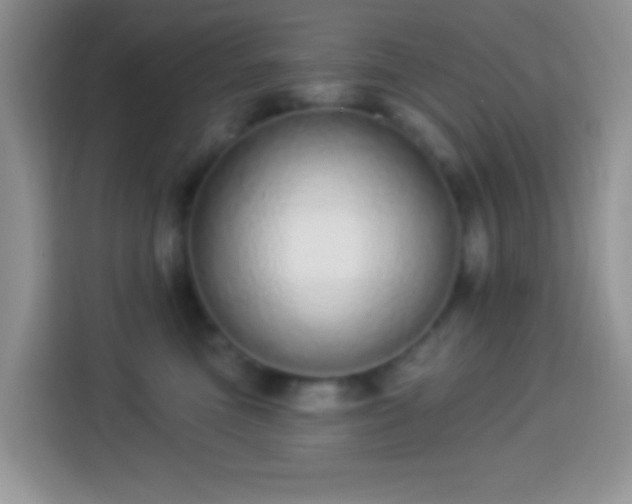 X0000113880473200910011136