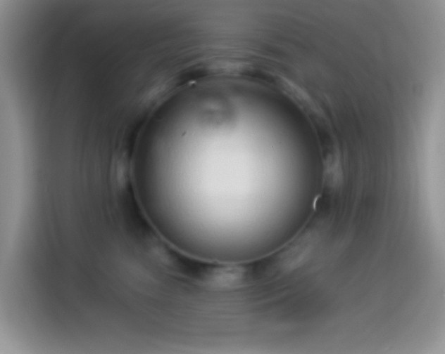 X0000113880474200910011136