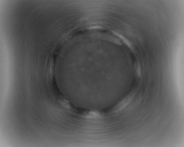 X0000113880475200910011136